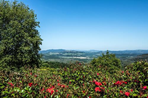 Ripostena, Casole d'Elsa (foto 9)