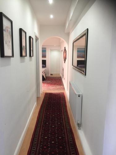 Luxurious Apartment in Kensington & Chelsea, Londýn (fotografie 2)