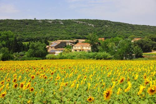 B&B Baron - Le mas de Clary - Bed and Breakfast Baron