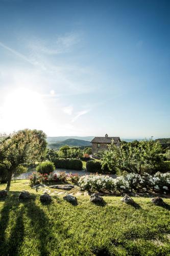 Ripostena, Casole d'Elsa (foto 7)