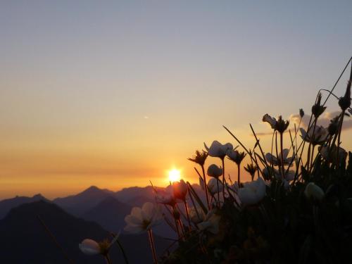 Pension Wagnerhof – Oberaudorf, WY