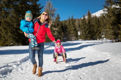 Sonnenchalets Mariapfarr - image 12