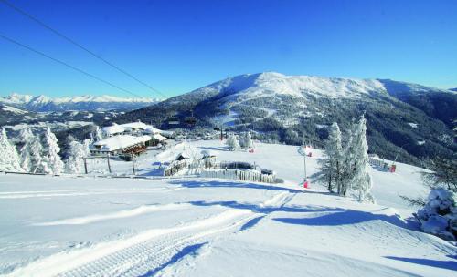 Sonnenchalets Mariapfarr - image 2