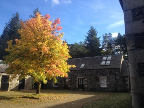 Hearthstanes Steading - image 2