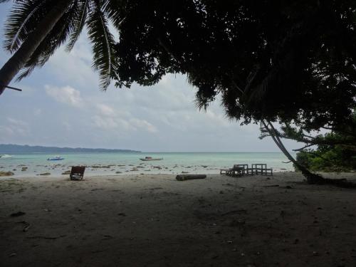 Gold India Beach Resort-Havelock Island