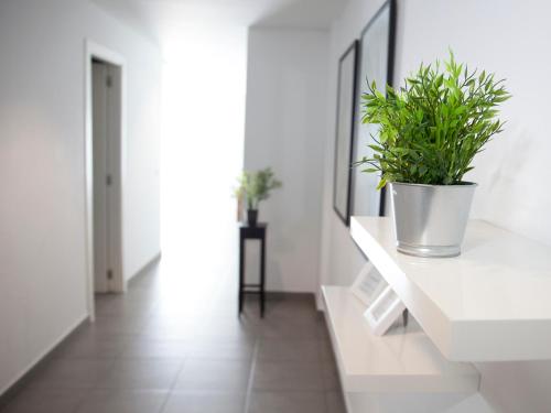 One-Bedroom Apartment with Terrace image 5
