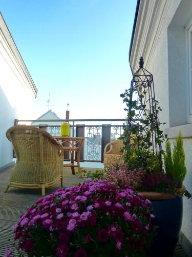 Hotel Zum Bügeleisen - image 7