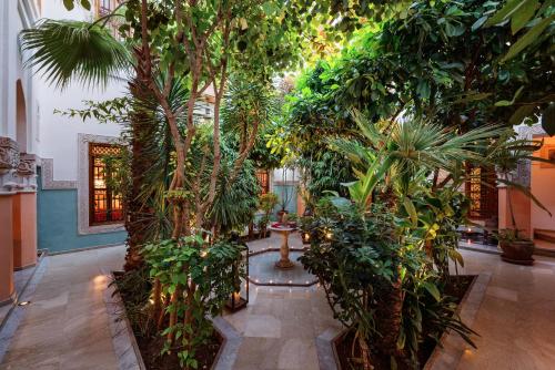 Riad Siwan 3