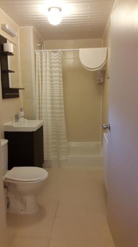 The Grafton - image 2