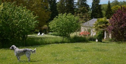 La Barillerie - image 13