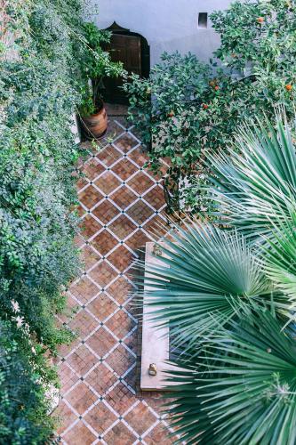 Riad Le Rihani