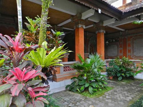 Kori Bali Inn I