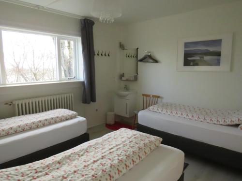 Guesthouse Kalfafellsstadur in Хорнафьордюр
