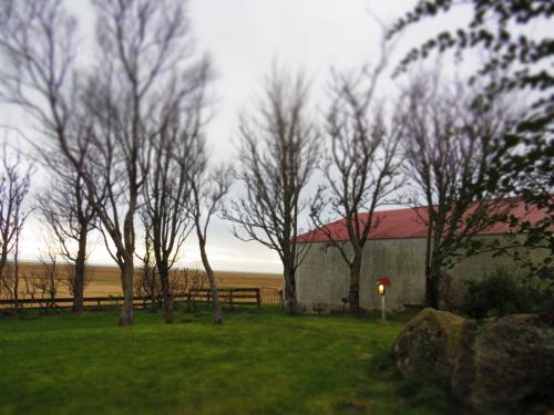 Guesthouse Kálfafellsstadur