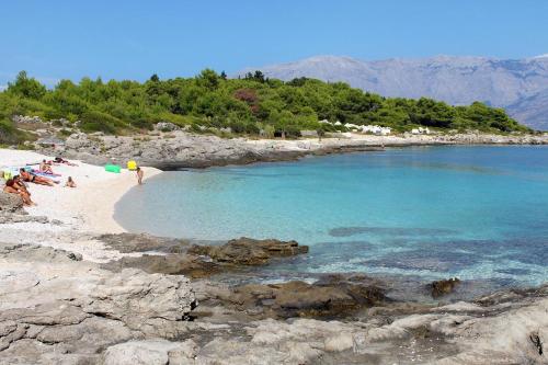  Apartments by the sea Povlja (Brac) - 2933 in Povlja