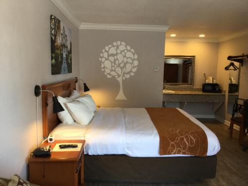 Journey Inn - Davis