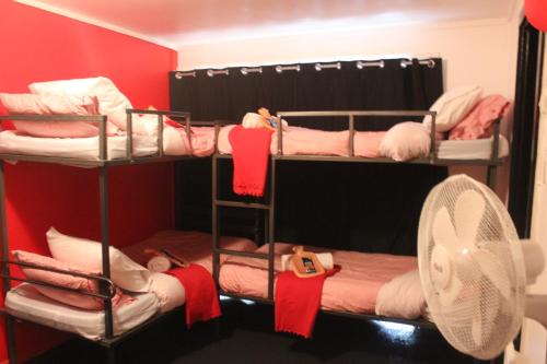 Avoca Park Equestrian Farmstay