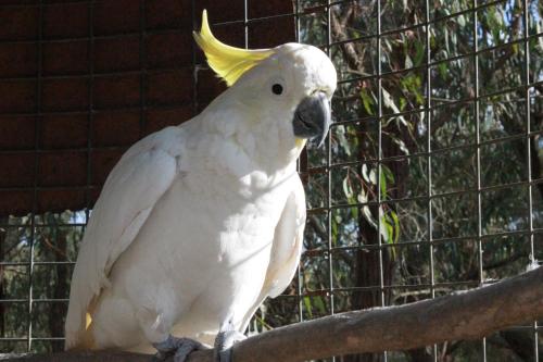 Avoca Park Equestrian Farmstay