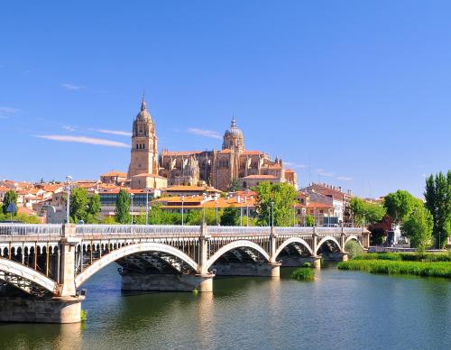 Ibis Salamanca - image 11