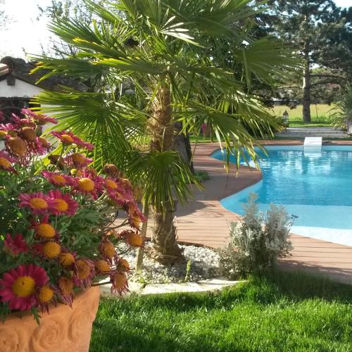 Le Clos de Saint Amour - Accommodation - Montauban