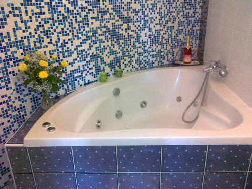 Comfort Double Room with Bath and Park View