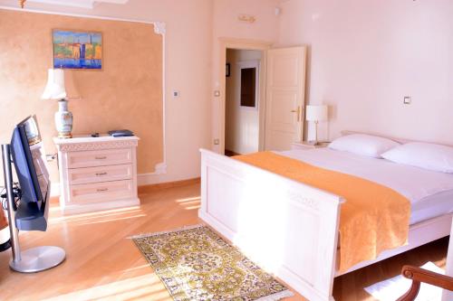 Arbia Dorka Heritage Palace - image 3