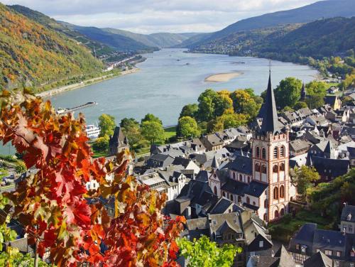 Ferienwohnung "Gecko" in Andernach