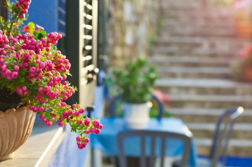 Cinqueterre Residence - image 11