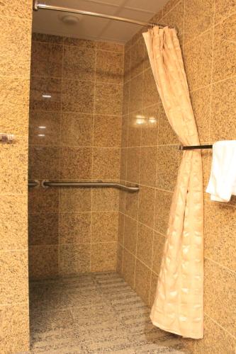 Rushmore Express & Suites - 화장실
