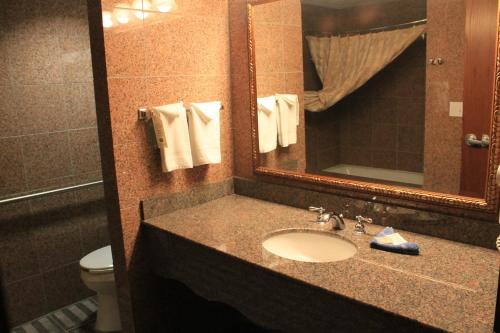 Rushmore Express & Suites - 화장실