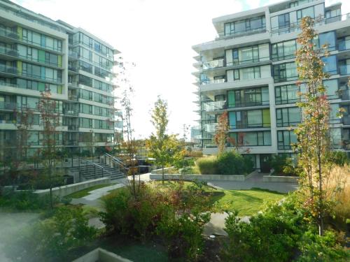 

Richmond condo Ackroyd