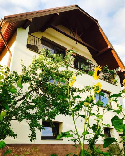 ทัศนียภาพภายนอกโรงแรม, Dom na Bravacove in สตารีสโมโคแวค