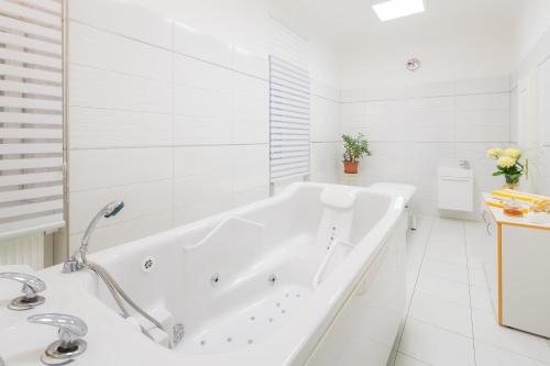 Hotel Palatin - image 10