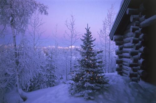 Holiday Club Ruka Cottages - image 12