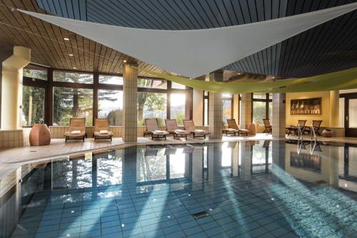 Maritim Titisee Hotel - image 3