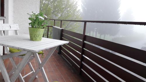 hoamelig in ฟาสชินา