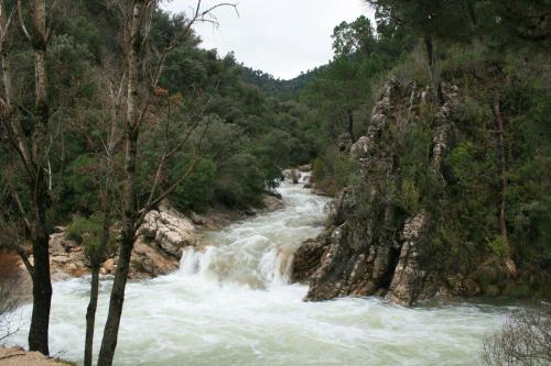 Apartamentos mirasierra plaza in 科托里奧斯
