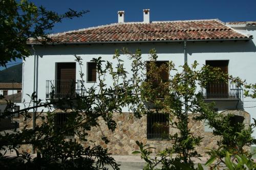 Apartamentos mirasierra plaza in 科托里奧斯