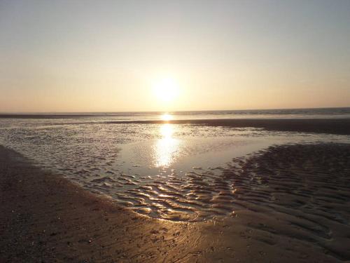 NICE FLAT 50M BEACH & CENTER - image 14