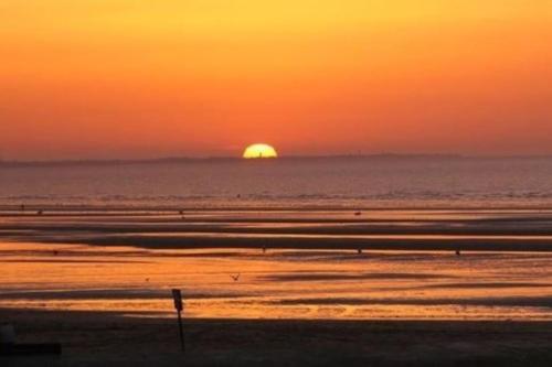 NICE FLAT 50M BEACH & CENTER - image 12