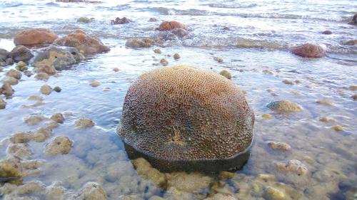 Strand, Koh Mook Hostel in Trang