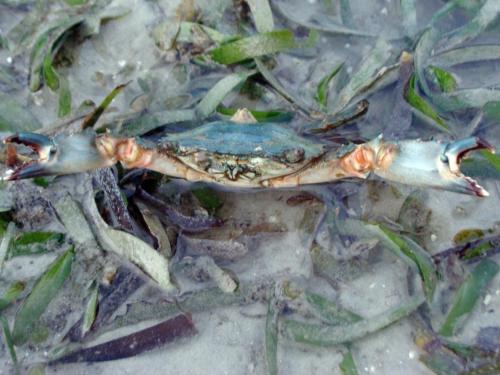 Koh Mook Hostel in Trang