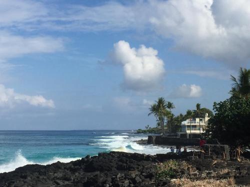 Kona Magic Honu Room