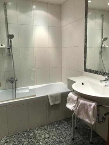 Hotel Goldener Brunnen - main image