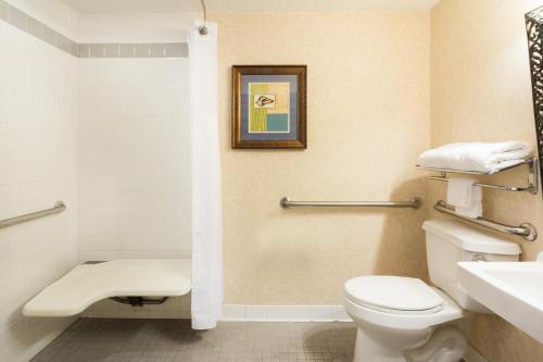 Photo - Holiday Inn & Suites Clearwater Beach S-Harbourside