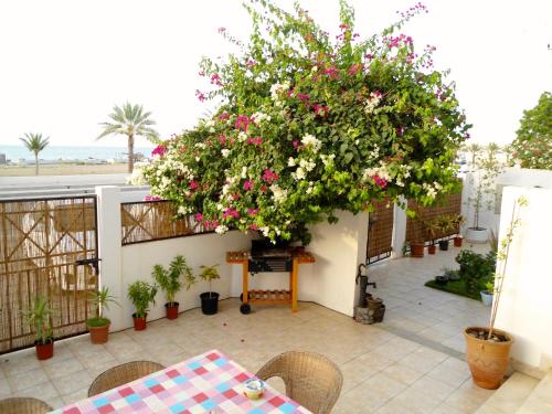 Lana Villa - image 5