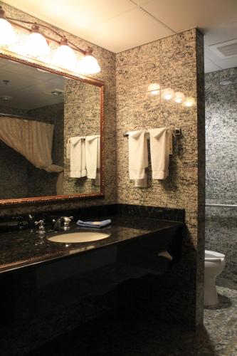 Rushmore Express & Suites - 화장실