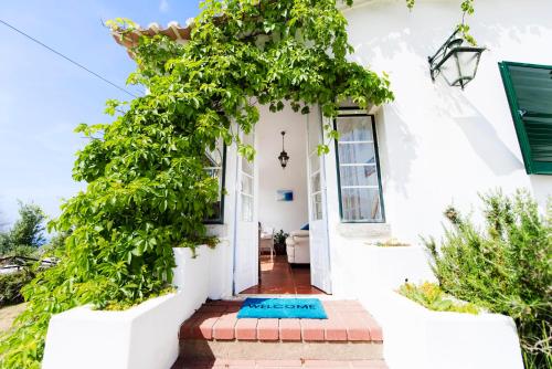 ทัศนียภาพภายนอกโรงแรม, Laneez Ericeira Surf House in เซาท์บีช
