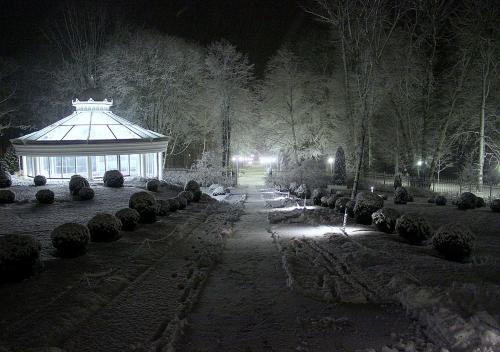 Schloss Hotel Yantarny - image 6