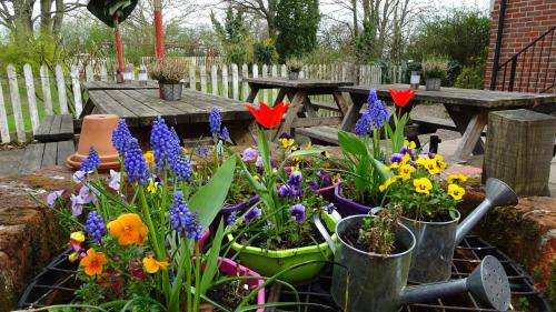 The Furze Bush Inn - image 3
